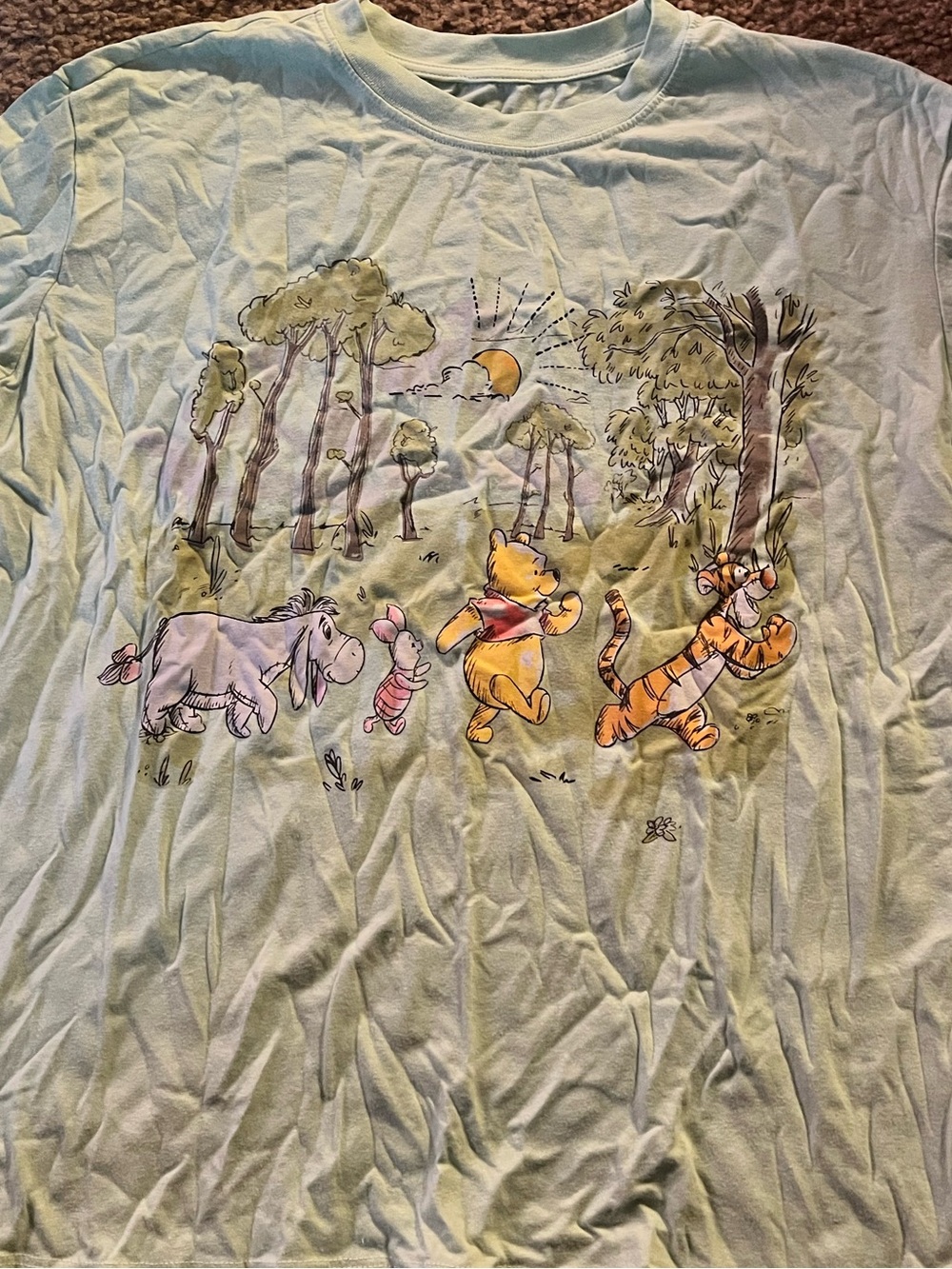 Disney’s Winnie the Pooh T‑Shirt - Light Mint
